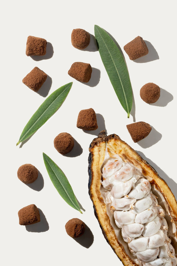 Vegane Schokoladentrüffel - Großpackung